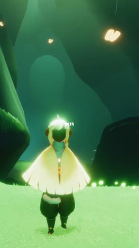 光遇竖屏书虫_光遇_游戏_手机游戏