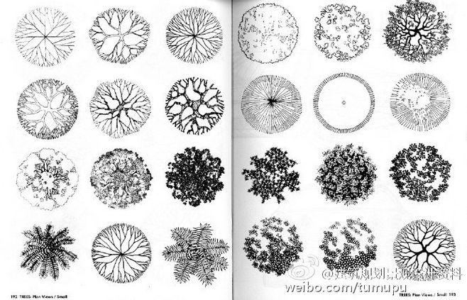 com 超赞的平面树画法. weibo.com