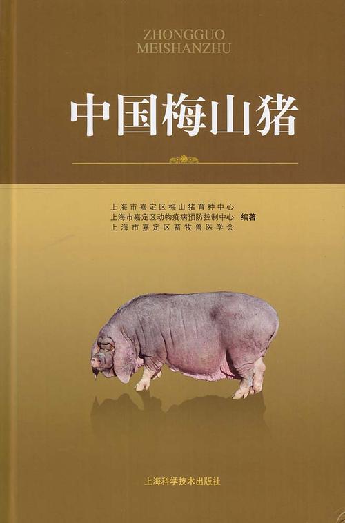 《中国梅山猪》