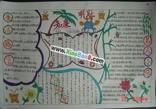 八年级三创四化手抄报 八年级英语手抄报