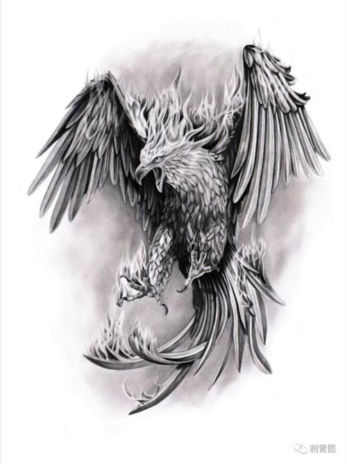纹身手稿 凤凰纹身 朱雀纹身素材 纹身图案