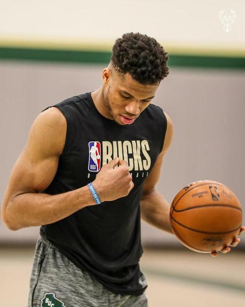 雄鹿官方推特晒出字母哥和迪温琴佐训练照