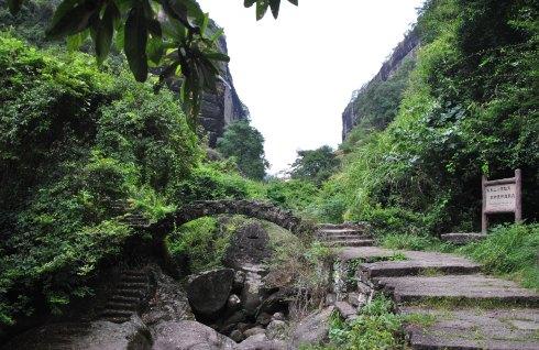 【芮的独行-武夷山】品大红袍美味,赏武夷山最美风景!