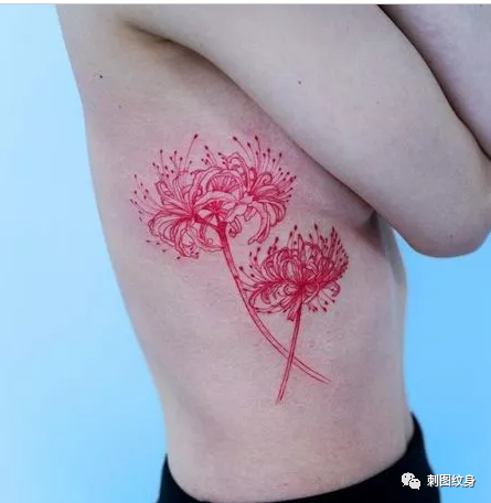 彼岸花纹身图案 纹身手稿 地狱花纹身素材