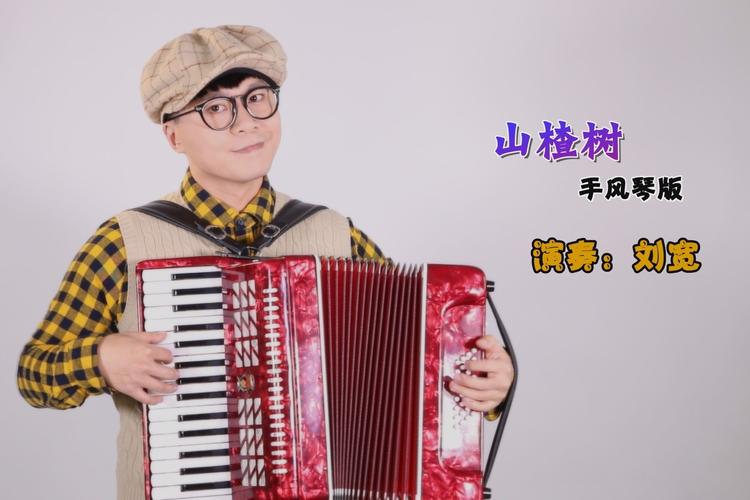 《山楂树》——手风琴版