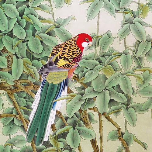 四尺国画手绘工笔画精品绿叶鹦鹉图花鸟画没题款无款画没落款0486