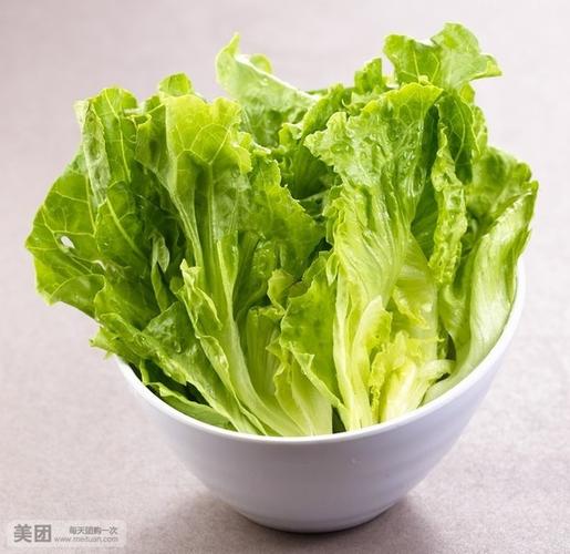 生菜图片