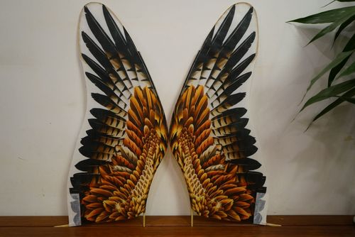 湖南邹金梁老师盘鹰作品展示