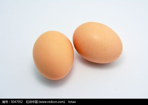 鸡蛋图片 鸡蛋图片大全