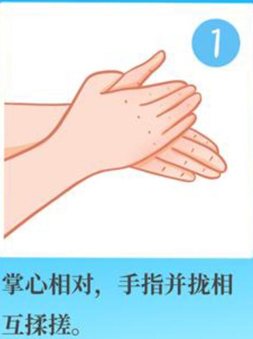 其它 良庆区亚欧之星幼儿园大一班(七步洗手法) 写美篇 七步洗手法是