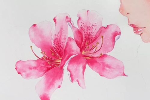3分钟教你学画唯美人物花卉之长沙杜鹃花