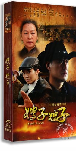 正版电视剧 嫂子嫂子10dvd 高清精装版 于震 李晟 奚美娟 - 龙在飞