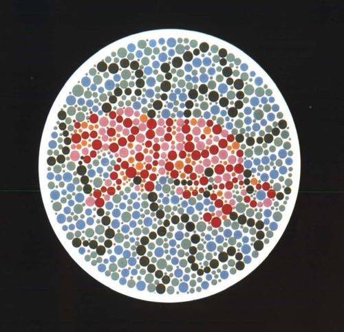 5张色觉测试图识别出来4张勉强算是合格