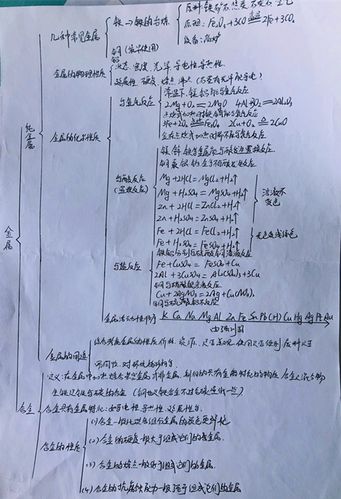 西京公司子校2020届初三学子化学思维导图优秀作品展