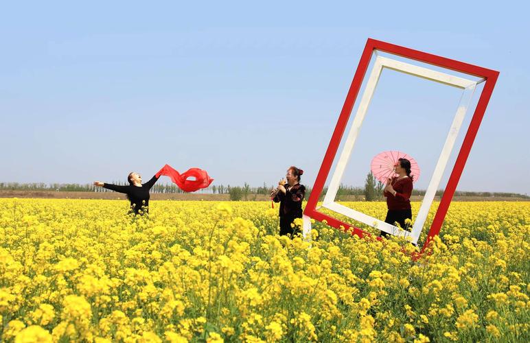 2020·运河故城万亩花海