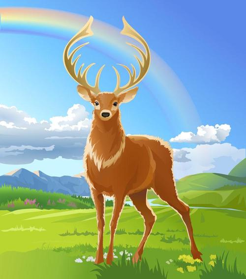 草地上成年雄鹿的矢量图解