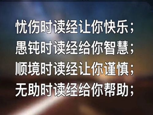 勤读圣经