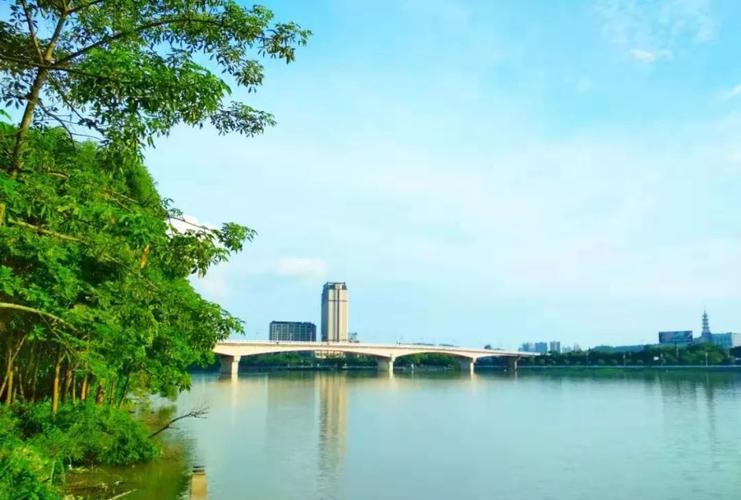 在东江公园,见阳光下的惠州大桥