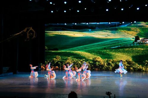 蒙古族舞蹈《鸿雁》 编舞:张喜顺 承德市乐怡艺术团舞蹈队演出 领舞