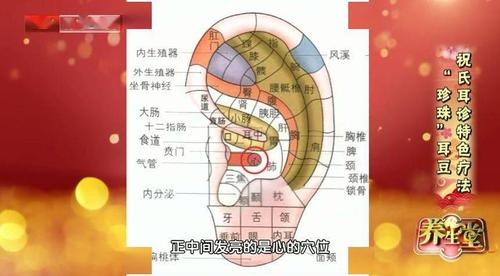 耳朵区域穴位图
