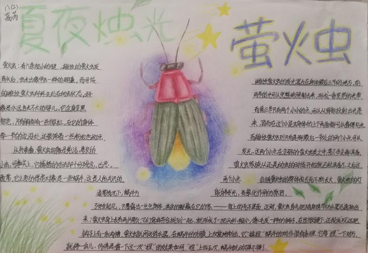展现学生风采——临沭县第一初级中学八年级开展"《昆虫记》知识卡片"