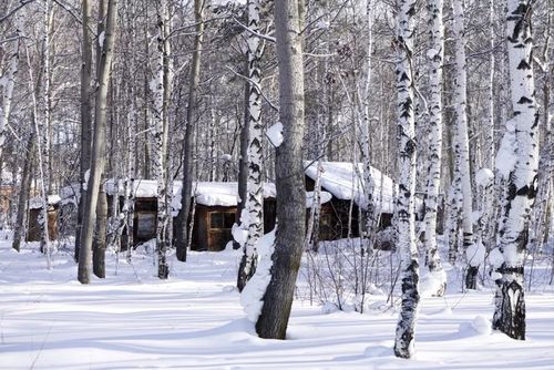 冬季贝加尔湖 | 雪地摩托·奥利洪岛环线·蓝冰诱惑8