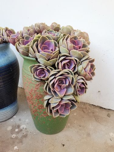 宜兴切口粗陶多肉花盆缺口悬崖植物透气特大陶罐法师