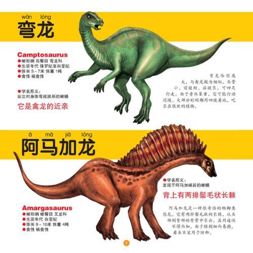 儿童恐龙的种类图片