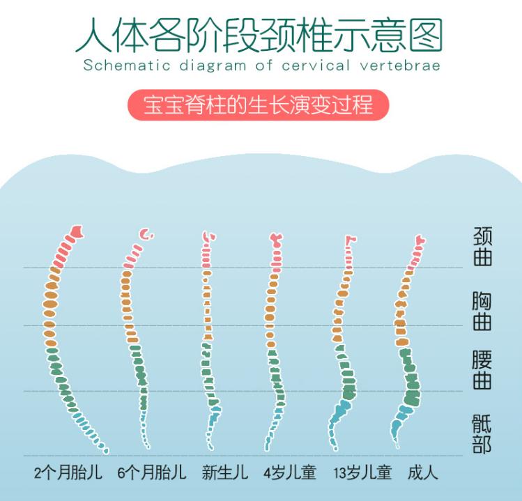 家长的3种行为,影响宝宝脊柱发育,长大可能"矮"人一截