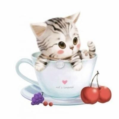 呆萌猫咪图片卡通头像