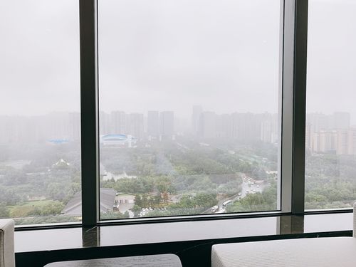 窗外景 雨天雾蒙蒙的