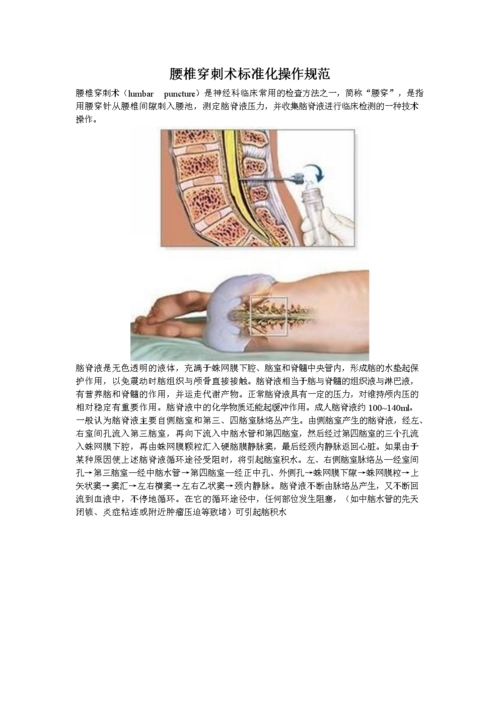腰椎穿刺术及训练模型.doc
