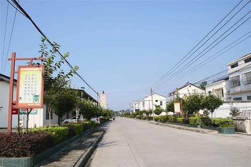 卞于珍:枝江市顾家店镇同济垸村党支部书记,村委会主任,先后荣获