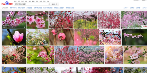 谁有桃花开花的过程图片?