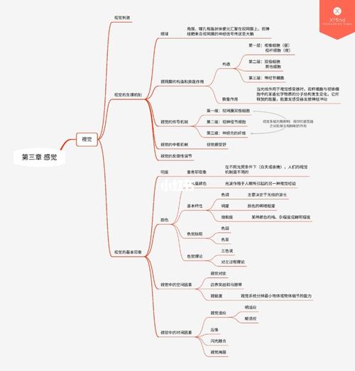 普通心理学第三章感觉 思维导图_思维导图_心理学_考研_每天一张心理