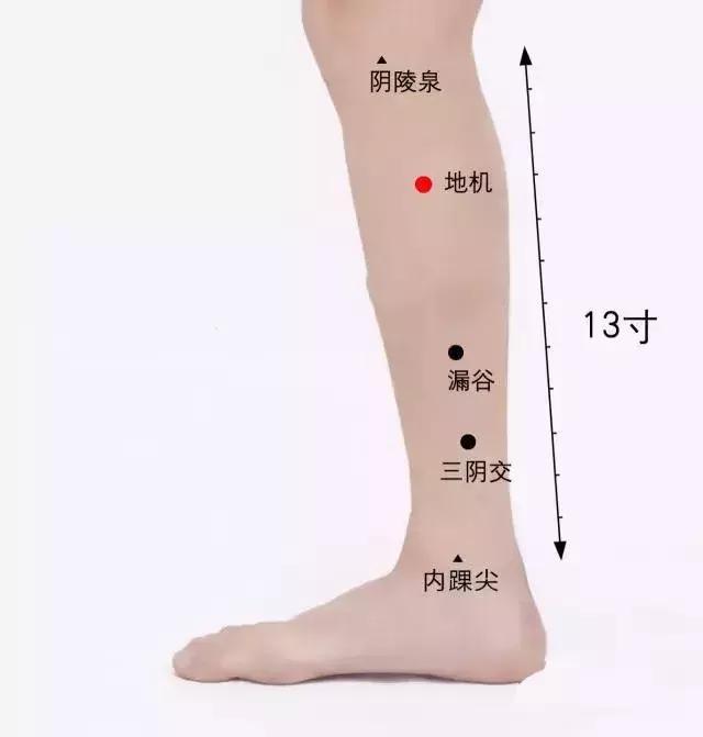 女人脾虚不仅老的快,而且百病缠身.6个脾虚的信号