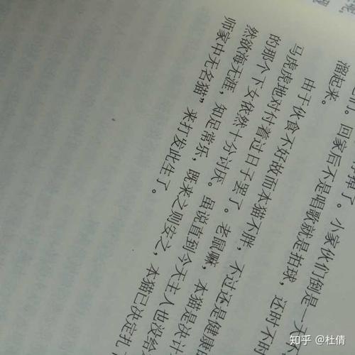 如何评价日本作家夏目漱石的作品《我是猫》?