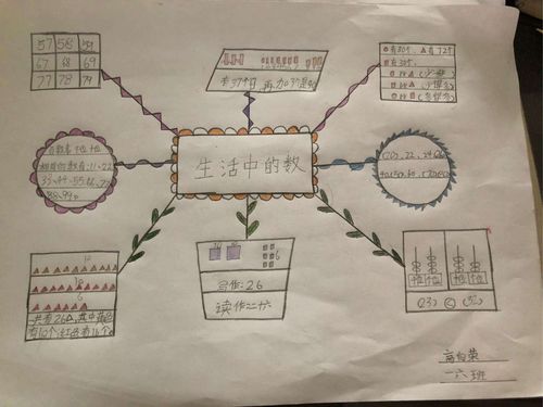 一(6)思维导图~生活中的数
