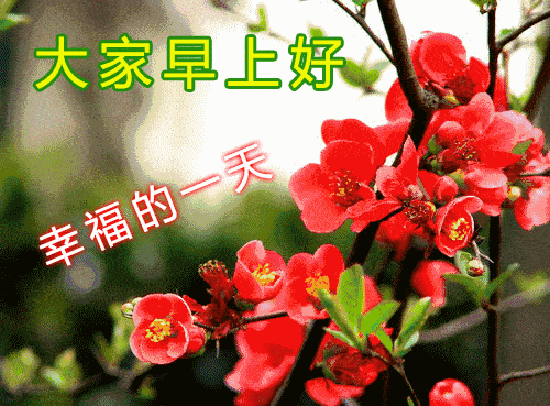 非常漂亮的美女早上好问候表情图片