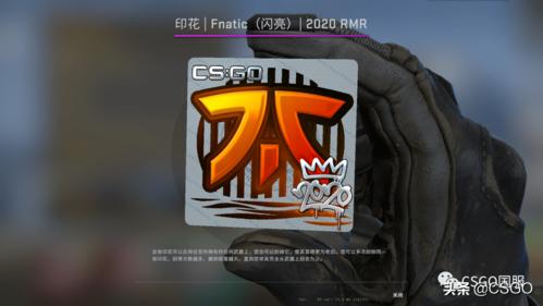 「csgo皮肤控」第65期:2020rmr印花,玩家搭配大赏_胶囊