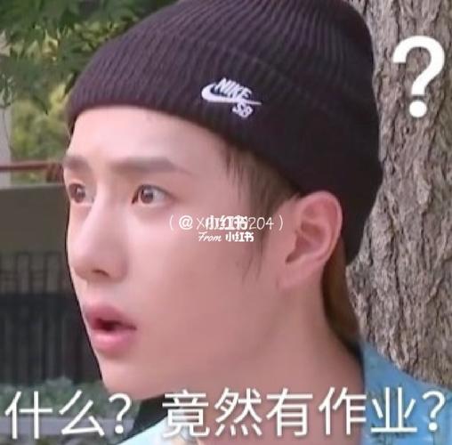 王一博交作业表情包_表情包_王一博_素材