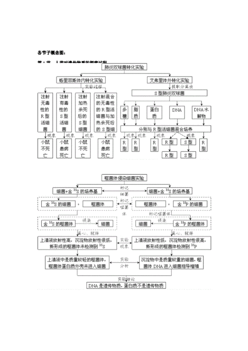 高中生物必修2知识框架.docx