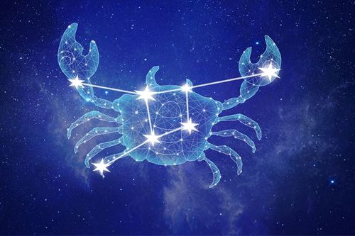 巨蟹座适合学什么专业巨蟹座最适合的专业