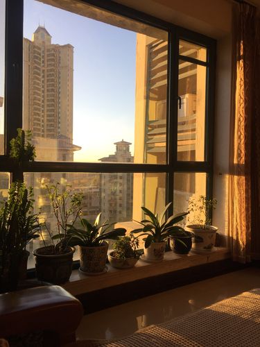 当阳光照进我的家