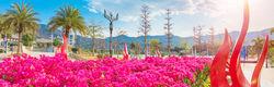 攀枝花学院