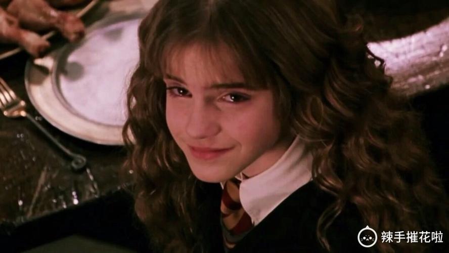 赫敏·格兰杰生日快乐|爱上赫敏