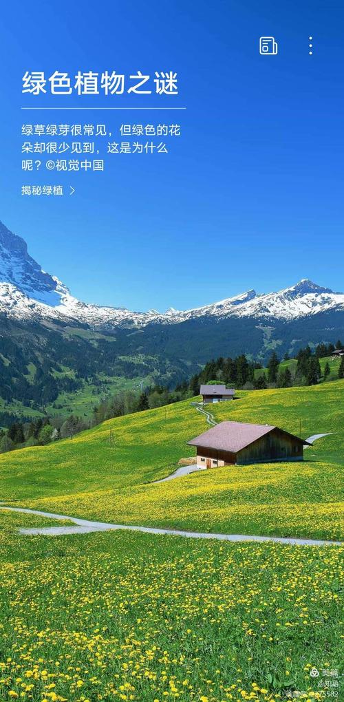 『我漂亮的手机屏保』