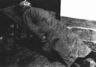 对于这样的人,建议你们研究一下看一看抗战的历史,看一看汪精卫