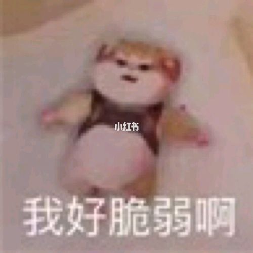 神仙表情包78_表情包_素材_表情包