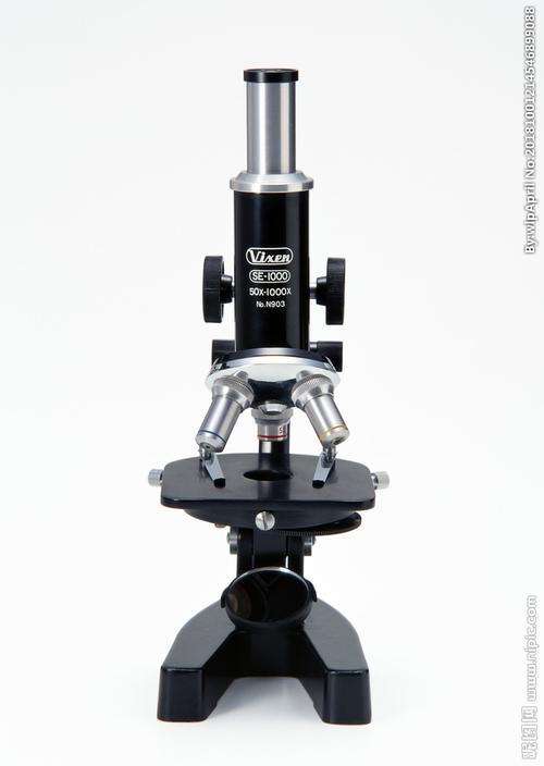 实验研究 显微镜图片